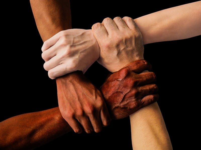Neighborhood Alliances